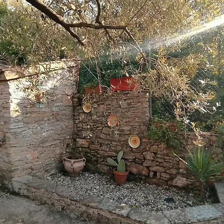 Punta Di Yucca A Due Passi Dal Mare Trebiano