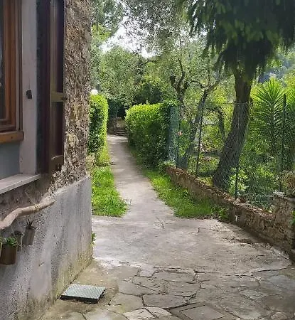 Punta Di Yucca A Due Passi Dal Mare *